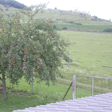 Hotel Penzion Drevenik Spišské Podhradie Zewnętrze zdjęcie