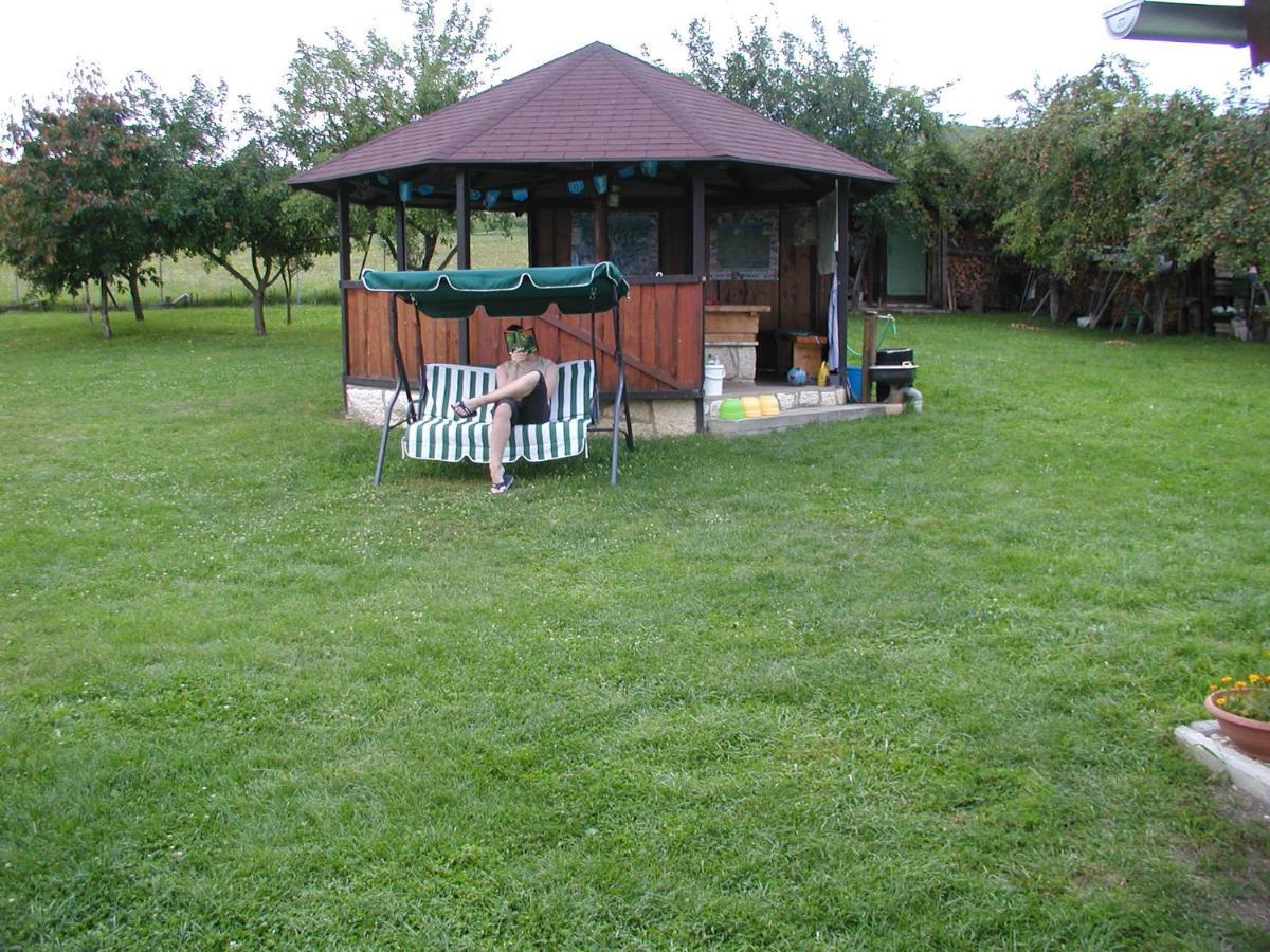 Hotel Penzion Drevenik Spišské Podhradie Zewnętrze zdjęcie