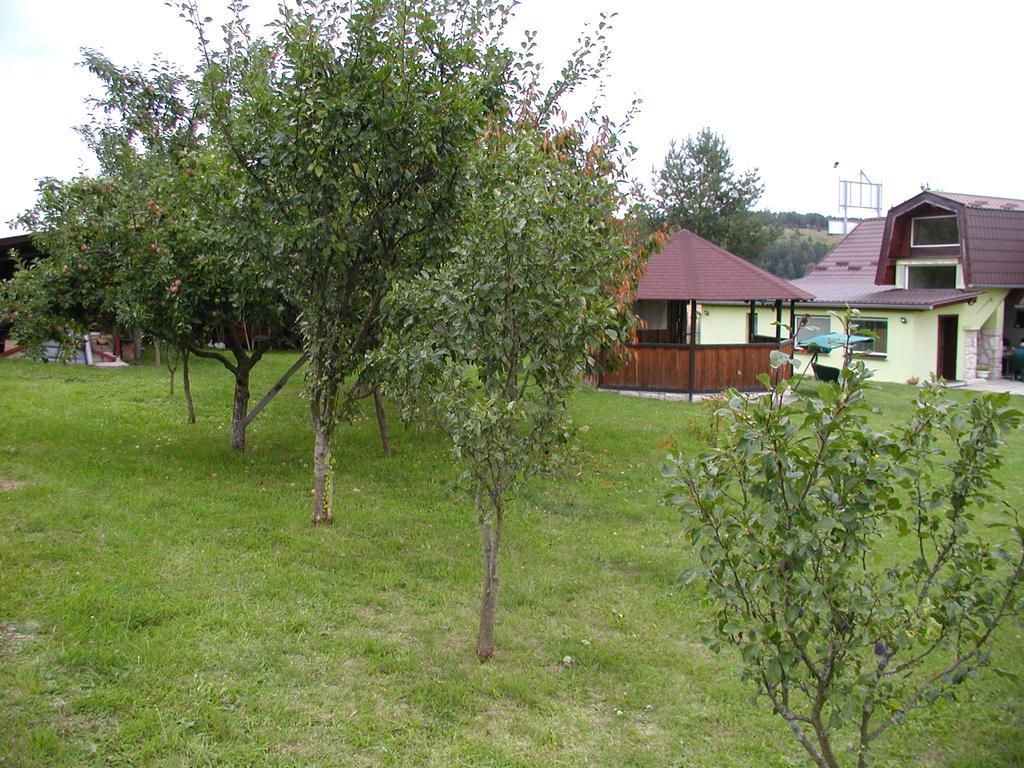Hotel Penzion Drevenik Spišské Podhradie Zewnętrze zdjęcie